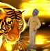Atif Hashmi - Facebook