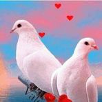 ATIF MEMON - Facebook