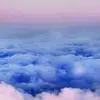 atiyajackson778 - @atiyajackson778 - TikTok