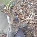 Atlee Yoder - Facebook