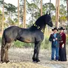 atleeandmrsyoder - @atleeandmrsyoder - TikTok