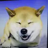 木村達男 - @tatsuokimura1 - TikTok