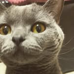 Atsushi Baba - @babaatsushi3 - Instagram