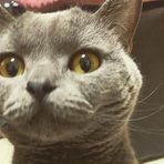 Atsushi Baba - Facebook