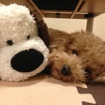 atsushi_baba - @papasan0713 - Instagram