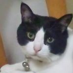 Atsushi Baba - Facebook