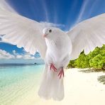 Atul maurya - Facebook