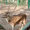 Atul Maurya - @atulmaurya515 - TikTok