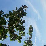 wahidatul - @wahidatul - Instagram