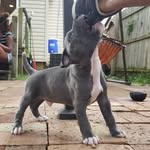 antwan brown - @b.antwan - Instagram