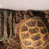 Aubrey Erickson - @aubrey.erickson5 - TikTok