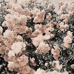 Aubrey Angelo - @aubrey_angelo2021 - Instagram
