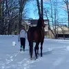 🐴Aubrey💋 - @aubrey_arsenault5208 - TikTok