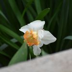 Aubrey Barton - @boundless_photos - Instagram