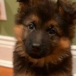 Aubrey_Beard - @aubr.eybeard - Instagram