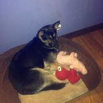 aubreyblakeway - @aubreyblakeway - Instagram