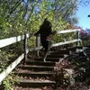 aubrey bode - @wtfitsaubrey - TikTok