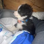 Aubreyyyy - @aubreyburrell6 - Instagram