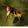 aubreyeveretts12 - @aubrey.everetts - TikTok