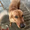 Aubrey Fleming - @aubrey.fleming0 - TikTok