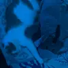 Aubrey Ford - @aubrey.ford39 - TikTok