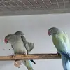 Aubrey Ford - @aubrey.ford6 - TikTok