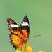 Aubrey Gregory - Facebook