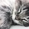 Aubrey Gregory - @aubrey.gregory - TikTok