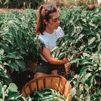 Aubrey Hands - Facebook