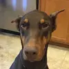 Aubrey Helms - @aubrey_helms - TikTok