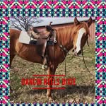Aubrie Taylor - @barrels_racing.fp - Instagram