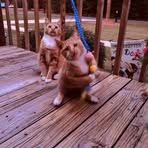 Aubree Fite-turner - Facebook