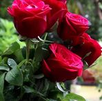 Audelia Cardenas Silva - Facebook