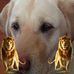 Audie Healey - Facebook