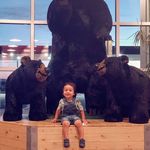 Audie Pearson - @audiepearson - Instagram
