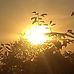 Audie Young - Facebook