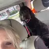 Audra Anderson - @audra.anderson - TikTok