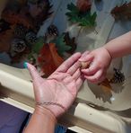 Audra Ashley - Facebook