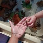 Audra Ashley - @be_ni5403 - Instagram