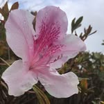 Audrey Cagle - @audreyphotographyacct - Instagram