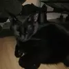 audrajones5 - @audrajones5 - TikTok