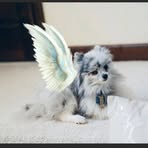 Audrey Markham - Facebook
