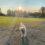 Audra Phillips - @alphillips67 - Instagram