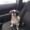Audra Rice - @audra.rice5 - TikTok