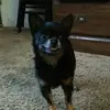 Audra Wilson - @audra.wilson4 - TikTok