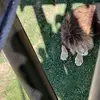 Audrey Salmon722 - @audrey.aaron775 - TikTok