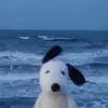 audreyyalonzo - @audreyyalonzo - TikTok