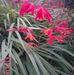 Audrey Arnold - Facebook