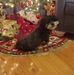 Audrey Auld - Facebook