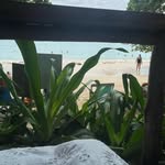 audrey 🐆 - @audrey.barbersz - Instagram